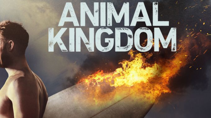 《野兽家族第一至二季》Animal Kingdom 全集迅雷下载