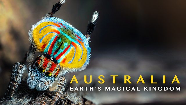 《绿野仙澳》Australia: Earth's Magical Kingdom 迅雷下载 纪录片 第1张