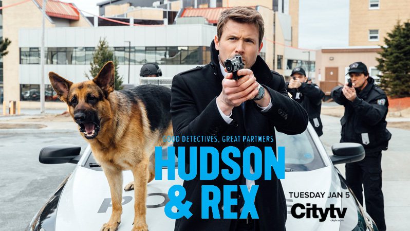 《哈德森与雷克斯第二至三季》Hudson & Rex 迅雷下载 罪案/动作谍战 第1张