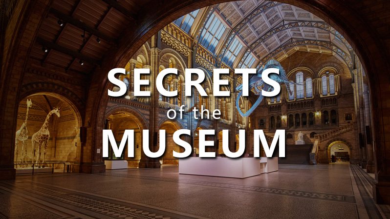 《博物馆的秘密第一至三季》Secrets of the Museum 迅雷下载