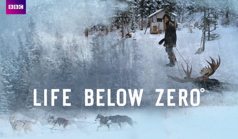 《零度以下的生活第十五季》Life Below Zero 迅雷下载 纪录片 第1张