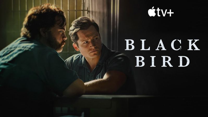 《黑鸟第一季》Black Bird 迅雷下载