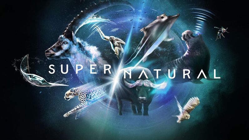 《超/自然第一季》Super/Natural 迅雷下载 2022新剧 第1张