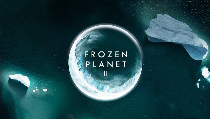 《冰冻星球第一至二季》Frozen Planet II 迅雷下载 纪录片 第1张