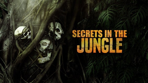 《丛林中的秘密第一季》Secrets in the Jungle 迅雷下载 2022新剧 第1张