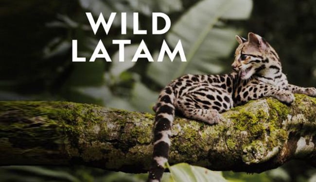《野性美洲第一季》Wild Latam 迅雷下载 纪录片 第1张