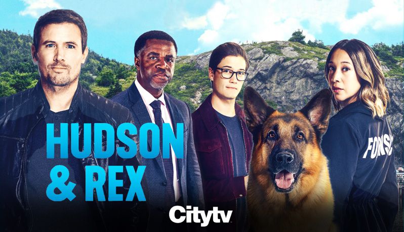 《哈德森与雷克斯第五至六季》Hudson & Rex 迅雷下载 罪案/动作谍战 第1张
