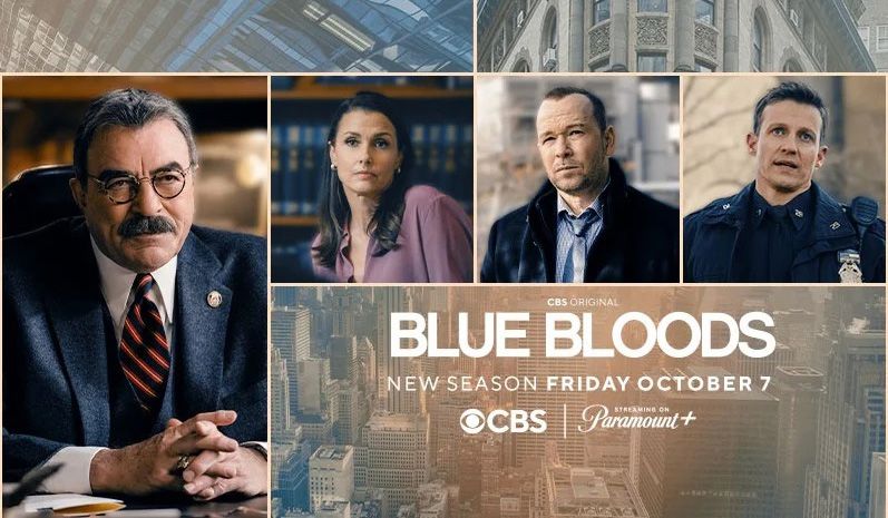 《警察世家第十三季》Blue Bloods 迅雷下载 罪案/动作谍战 第1张