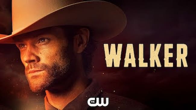 《德州巡警第三季》Walker 迅雷下载 罪案/动作谍战 第1张