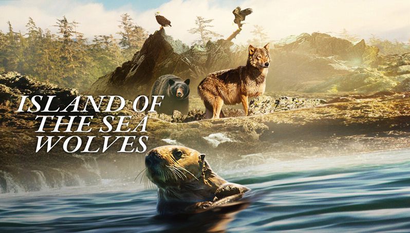 《海狼之岛第一季》Island of the Sea Wolves 迅雷下载