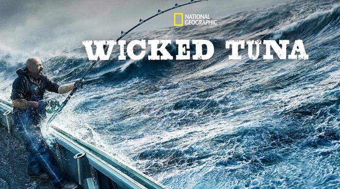 《捕鱼生死斗第十一季》Wicked Tuna 迅雷下载 纪录片 第1张