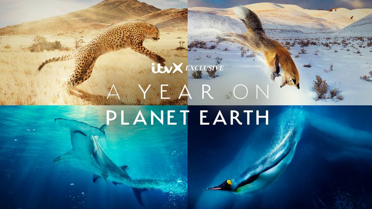 《地球上的一年第一季》A Year on Planet Earth 迅雷下载 2023新剧 第1张