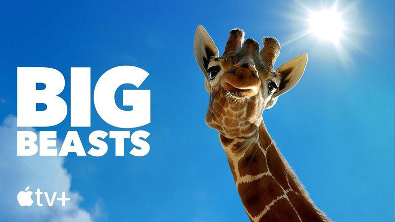 《巨兽第一季》Big Beasts 迅雷下载 2023新剧 第1张
