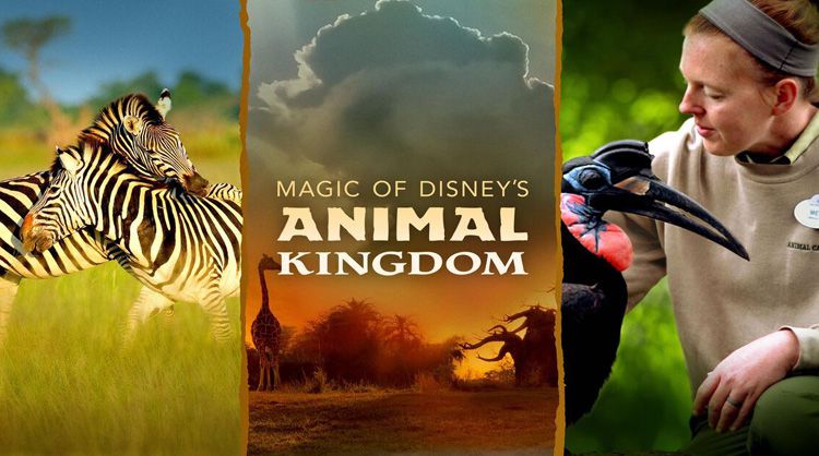 《迪士尼动物王国第一至二季》Magic of Disney's Animal Kingdom 迅雷下载 纪录片 第1张
