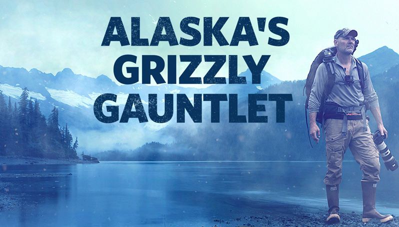 《阿拉斯加生存战第一季》Alaska's Grizzly Gauntlet 迅雷下载 纪录片 第1张