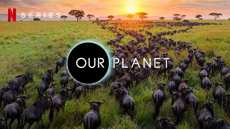 《我们的星球第二季》Our Planet 迅雷下载 纪录片 第1张