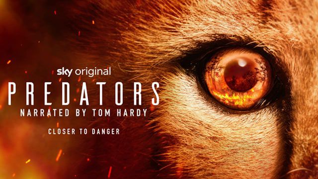 《食肉动物第一季》Predators 迅雷下载 纪录片 第1张