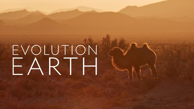 《进化的地球第一季》Evolution Earth 迅雷下载 2023新剧 第1张