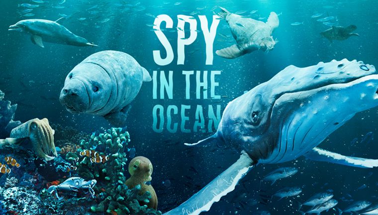《海洋间谍第一季》Spy in the Ocean 迅雷下载 纪录片 第1张