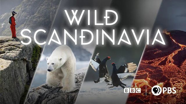 《野性斯堪的纳维亚第一季》Wild Scandinavia 迅雷下载 纪录片 第1张