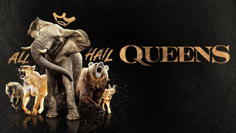 《大自然的女王第一季》Queens 迅雷下载