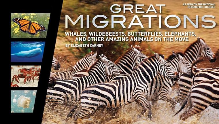 《大迁徙第一季》Great Migrations 迅雷下载