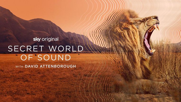 《大卫·艾登堡：大自然的声音第一季》Secret World of Sound with David Attenborough 迅雷下载 2024新剧 第1张