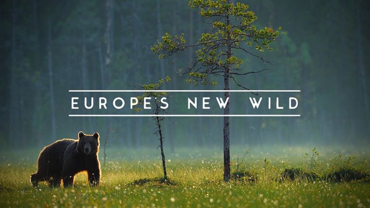 《欧洲野性新生第一季》Europe’s New Wild Season 1 迅雷下载