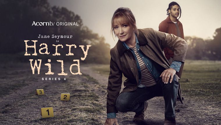 《野探哈莉第四季》Harry Wild Season 4 迅雷下载