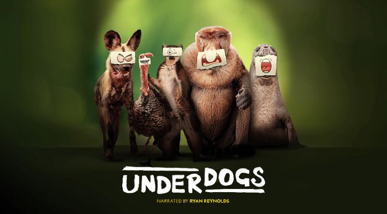 《失败者第一季》Underdogs 迅雷下载